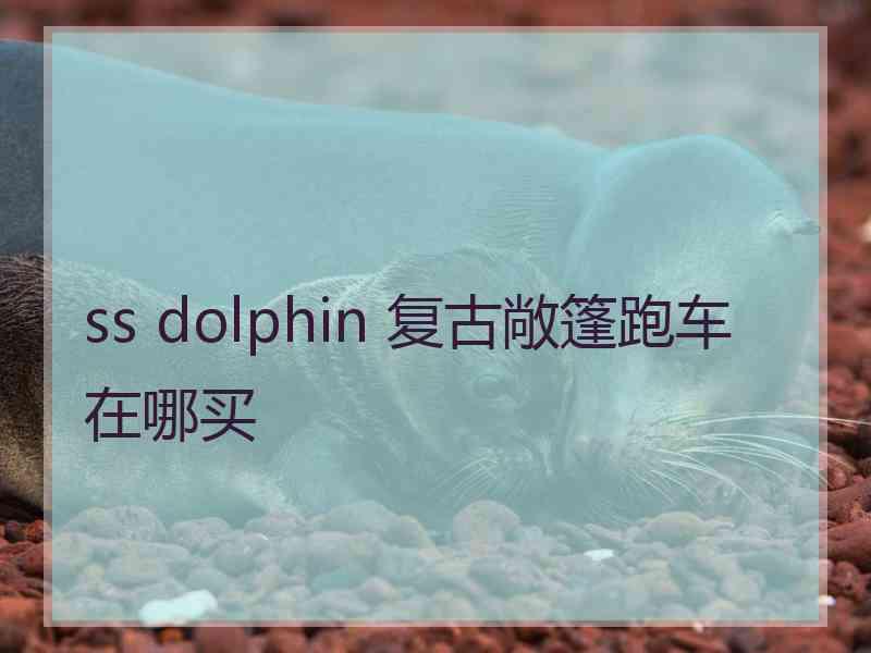 ss dolphin 复古敞篷跑车在哪买