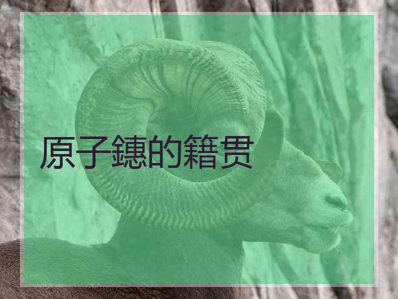 原子鏸的籍贯