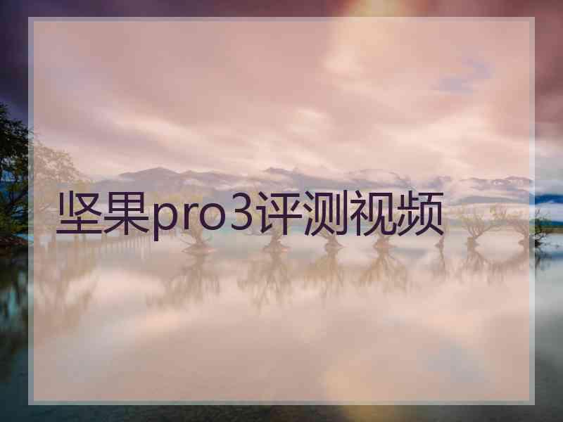坚果pro3评测视频