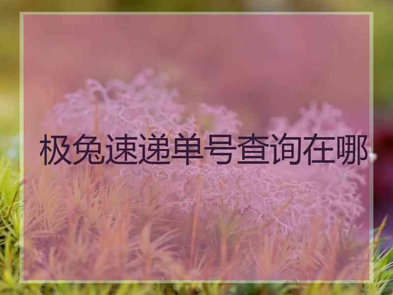 极兔速递单号查询在哪