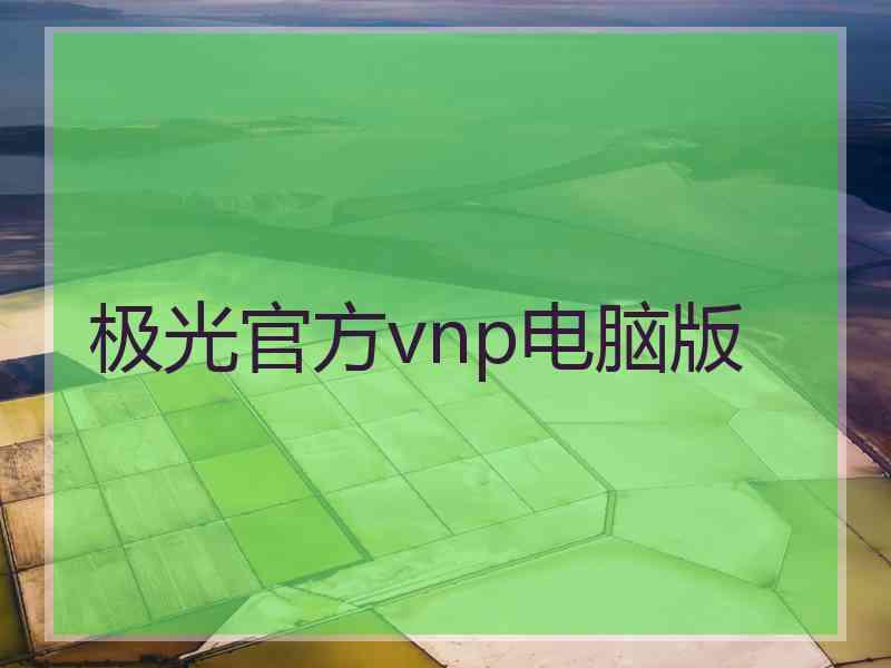 极光官方vnp电脑版