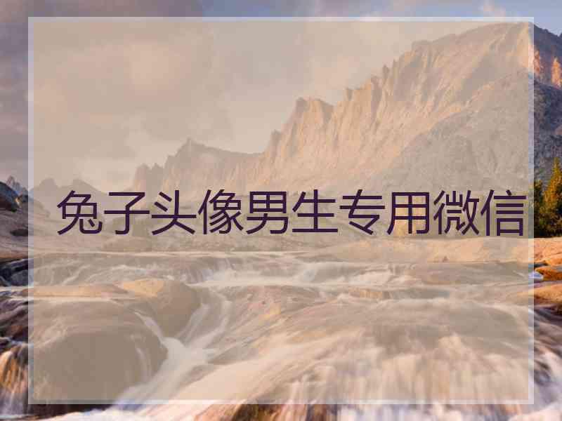 兔子头像男生专用微信