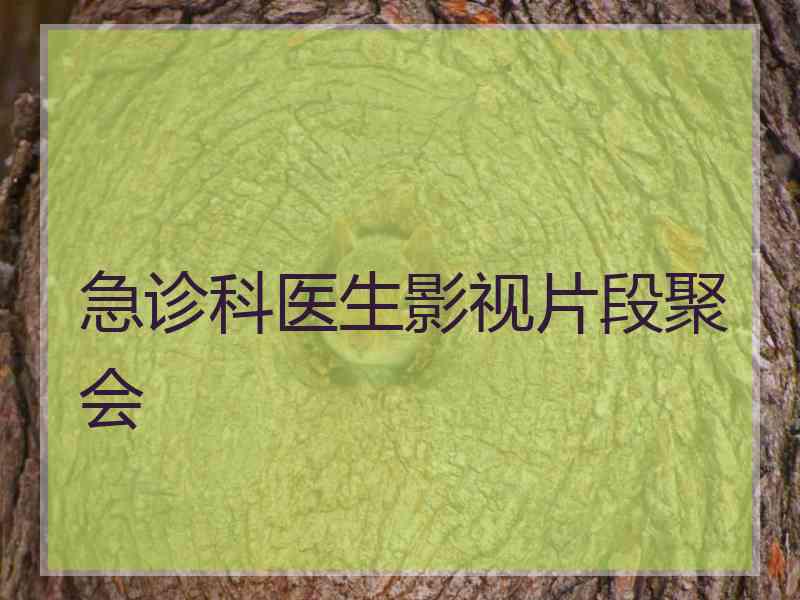 急诊科医生影视片段聚会