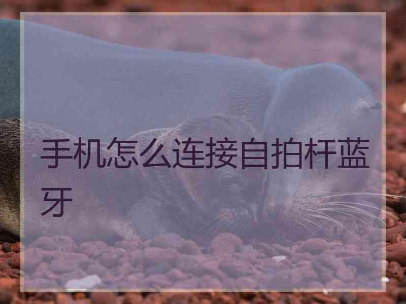 手机怎么连接自拍杆蓝牙