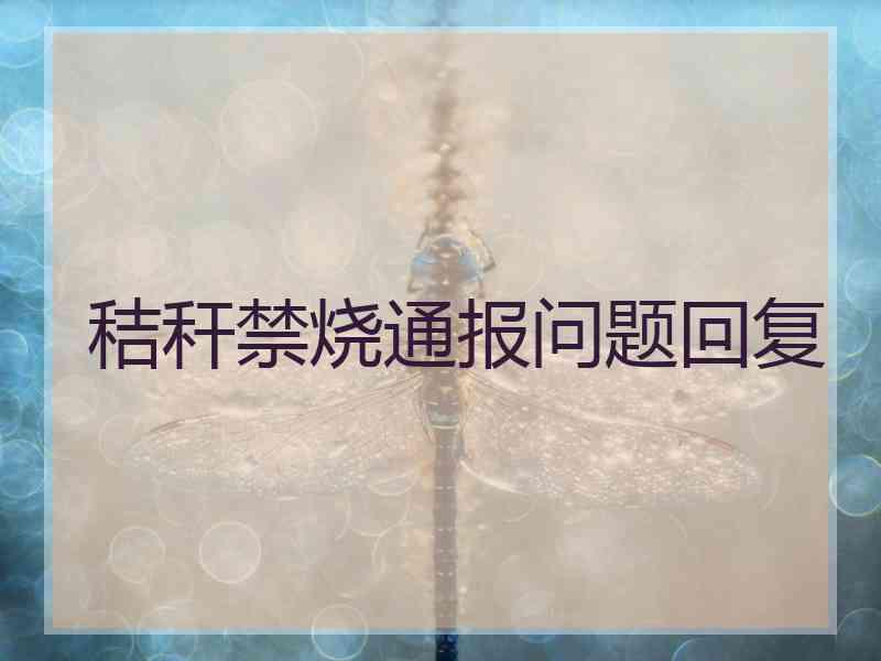 秸秆禁烧通报问题回复