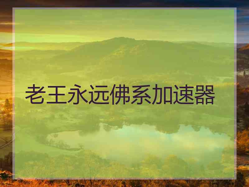 老王永远佛系加速器