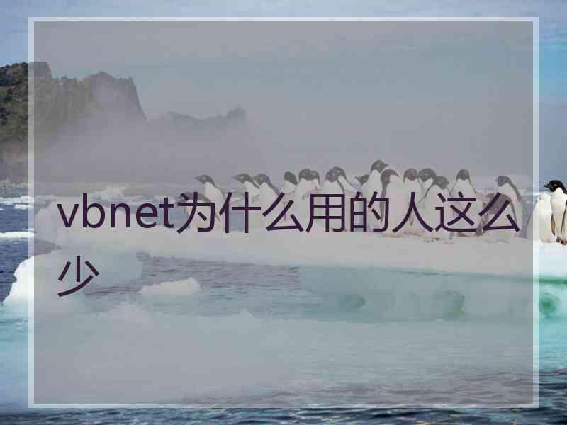 vbnet为什么用的人这么少