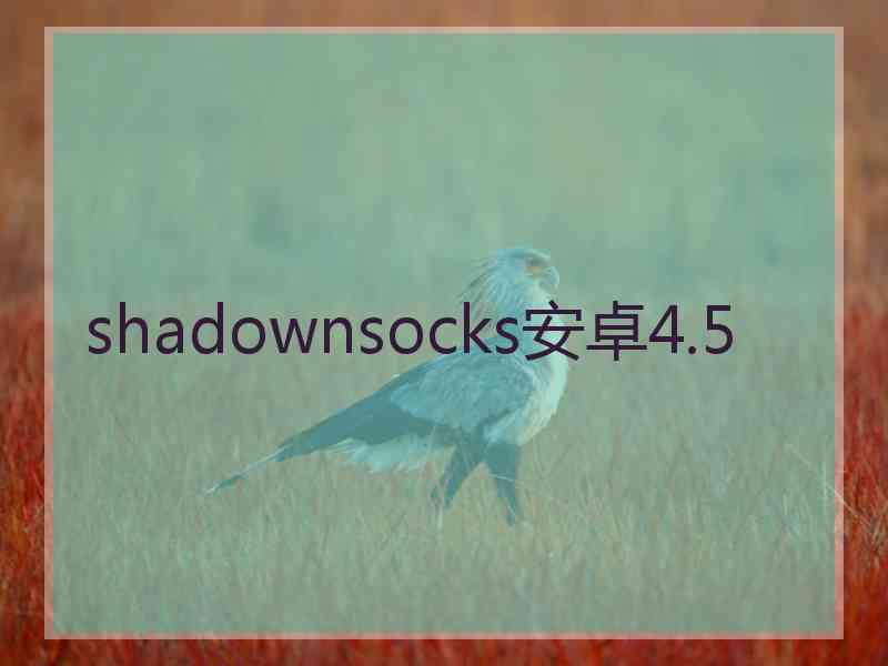 shadownsocks安卓4.5