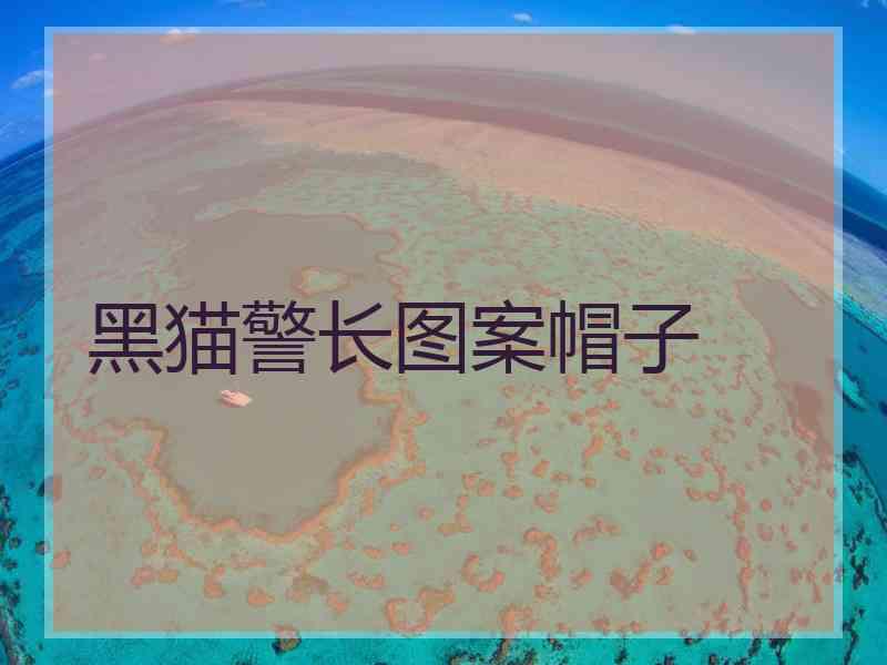 黑猫警长图案帽子