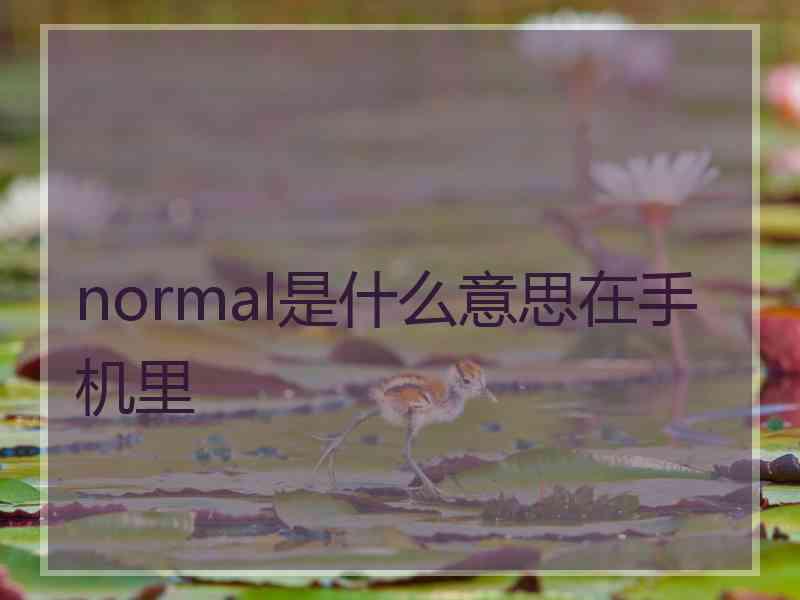normal是什么意思在手机里
