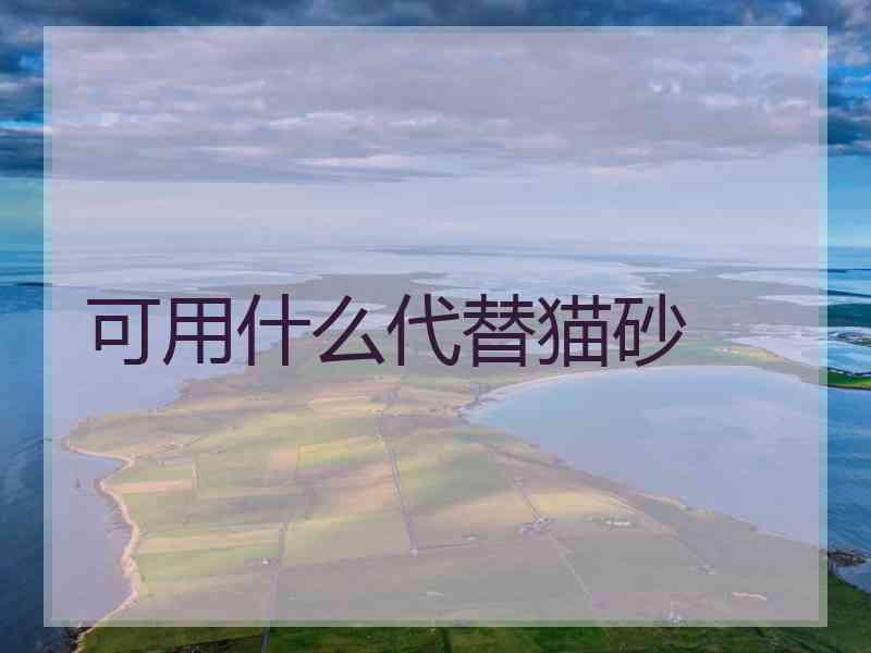 可用什么代替猫砂