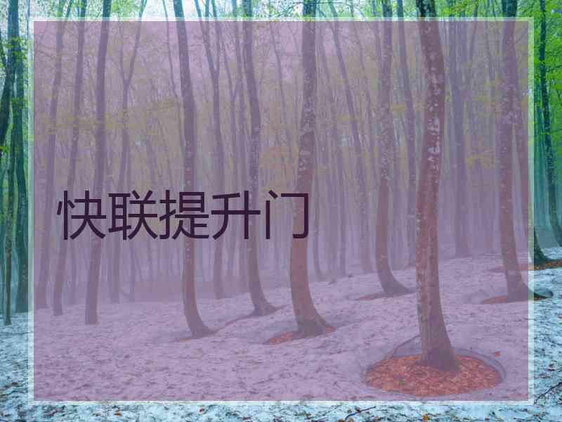 快联提升门