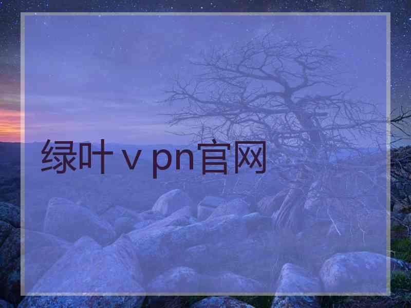 绿叶ⅴpn官网