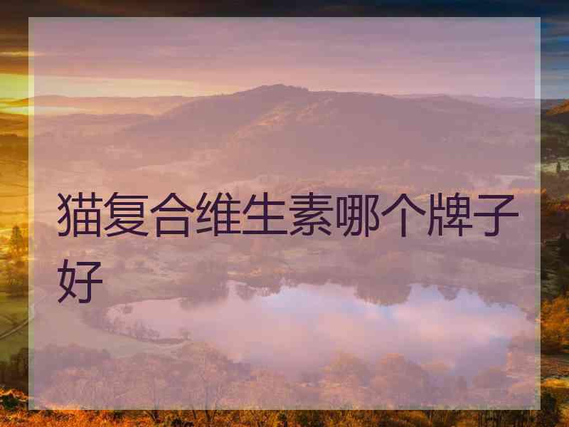 猫复合维生素哪个牌子好