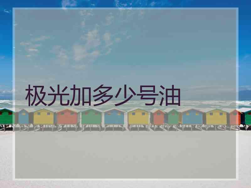 极光加多少号油