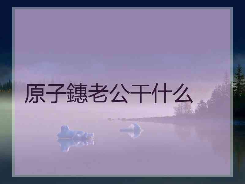 原子鏸老公干什么