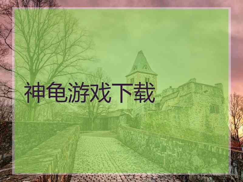 神龟游戏下载