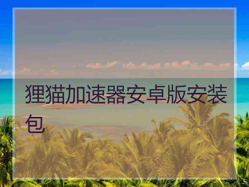 狸猫加速器安卓版安装包