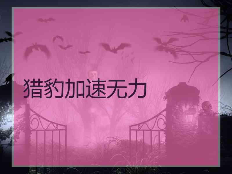 猎豹加速无力