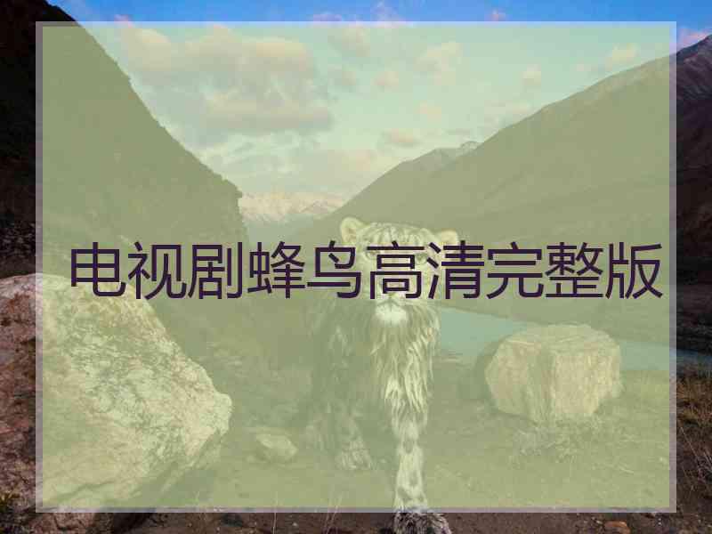 电视剧蜂鸟高清完整版