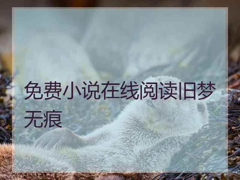 免费小说在线阅读旧梦无痕