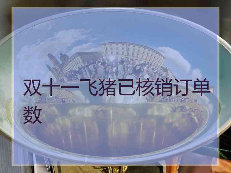 双十一飞猪已核销订单数