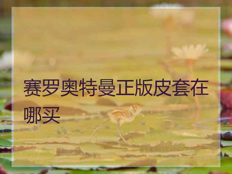 赛罗奥特曼正版皮套在哪买