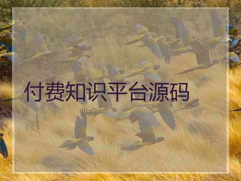 付费知识平台源码