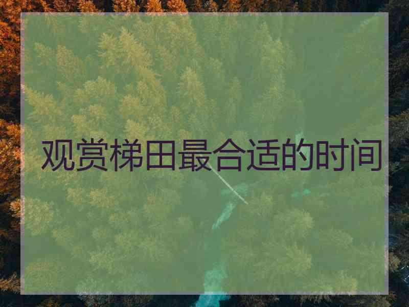 观赏梯田最合适的时间