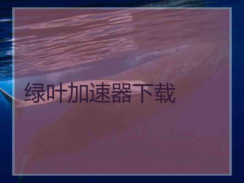 绿叶加速器下载