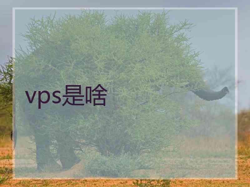 vps是啥