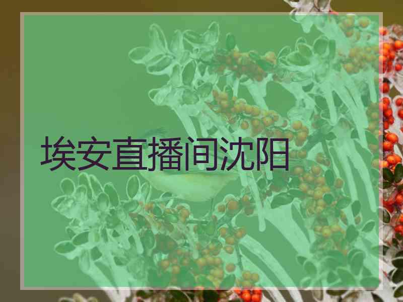 埃安直播间沈阳