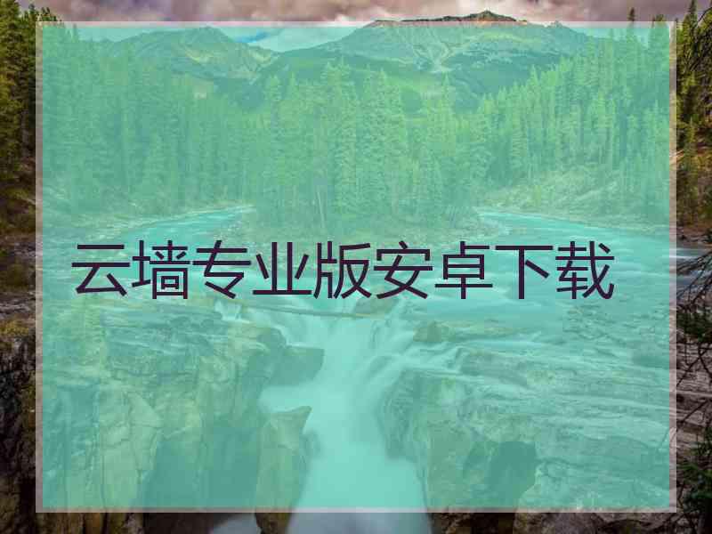 云墙专业版安卓下载