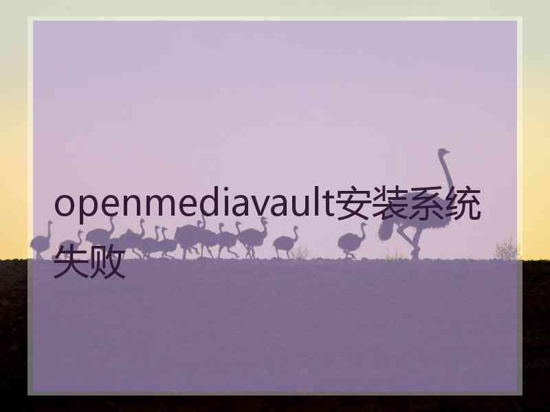 openmediavault安装系统失败