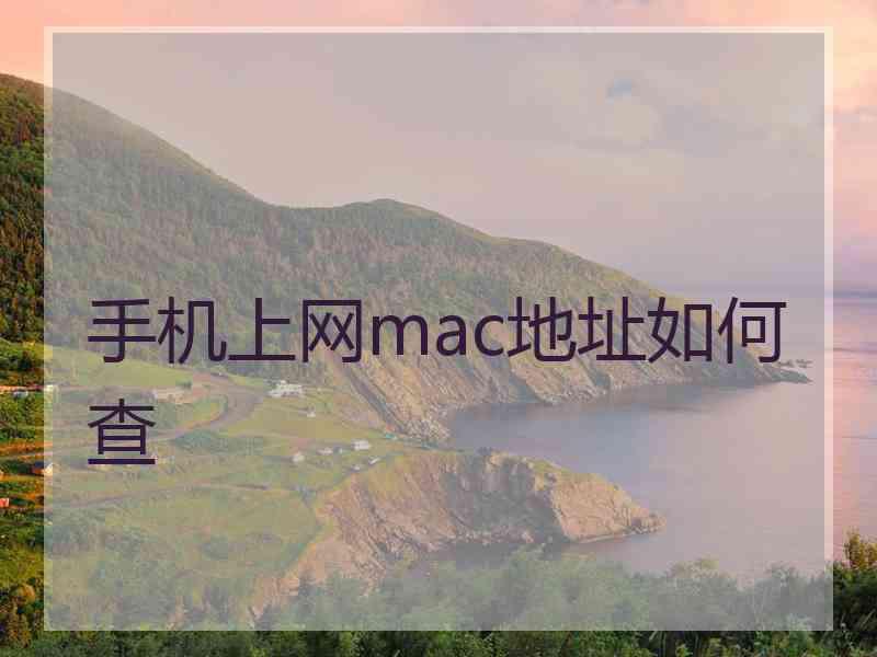 手机上网mac地址如何查