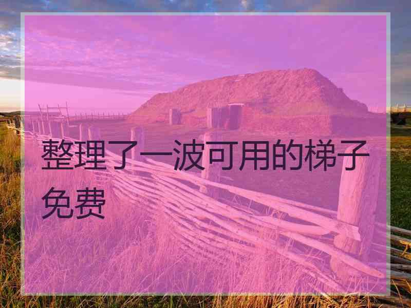 整理了一波可用的梯子免费