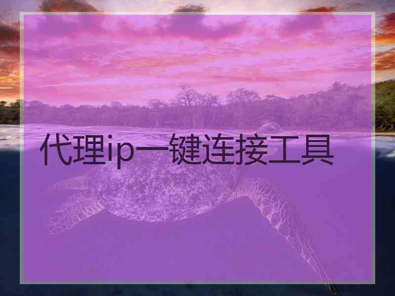 代理ip一键连接工具