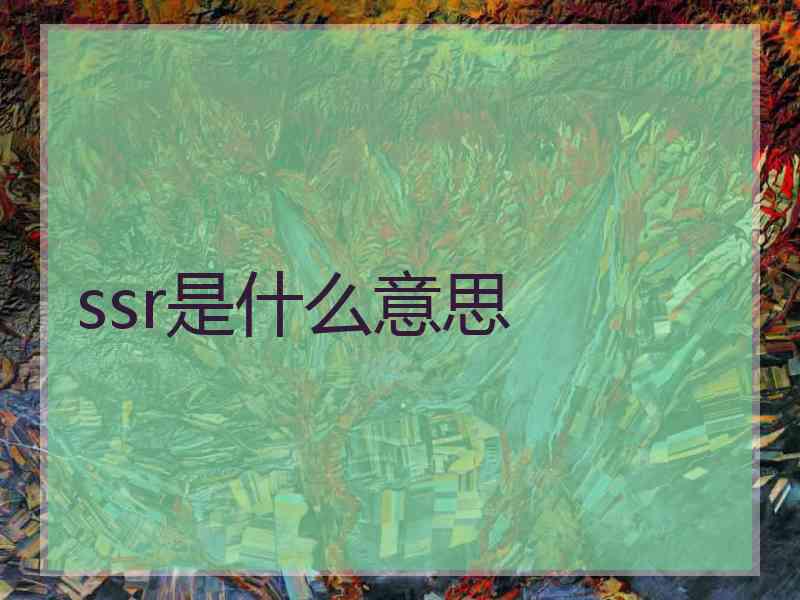 ssr是什么意思