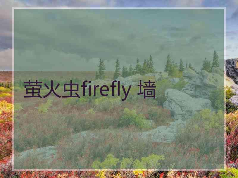 萤火虫firefly 墙