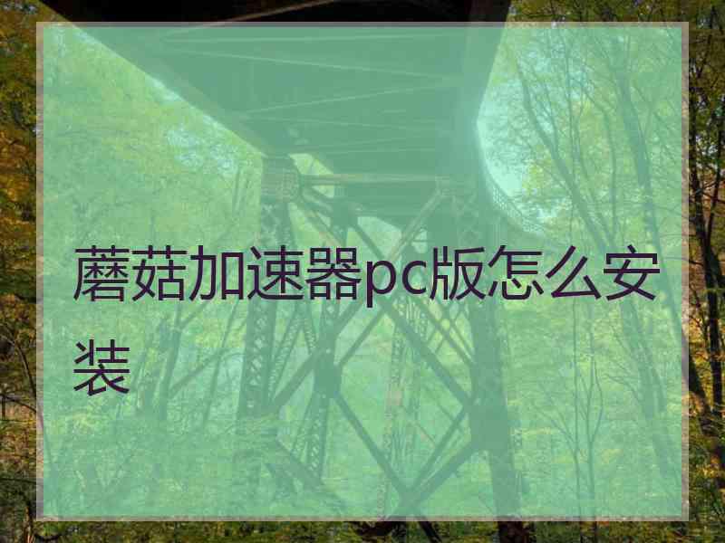 蘑菇加速器pc版怎么安装