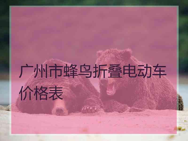 广州市蜂鸟折叠电动车价格表