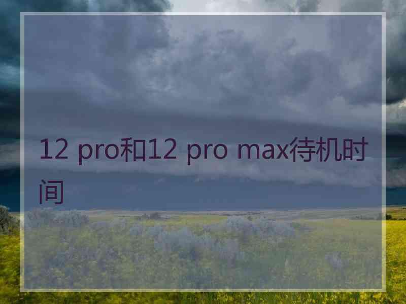 12 pro和12 pro max待机时间