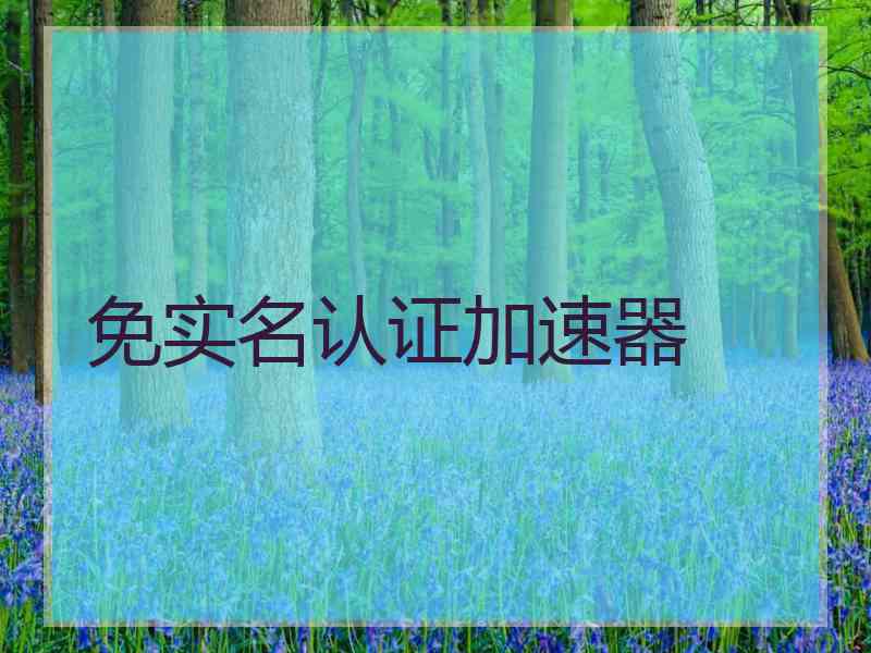 免实名认证加速器