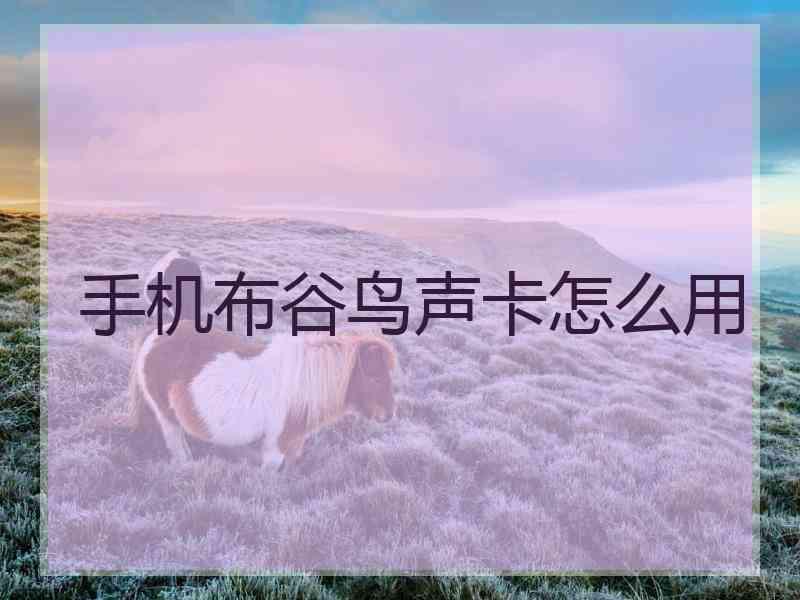 手机布谷鸟声卡怎么用