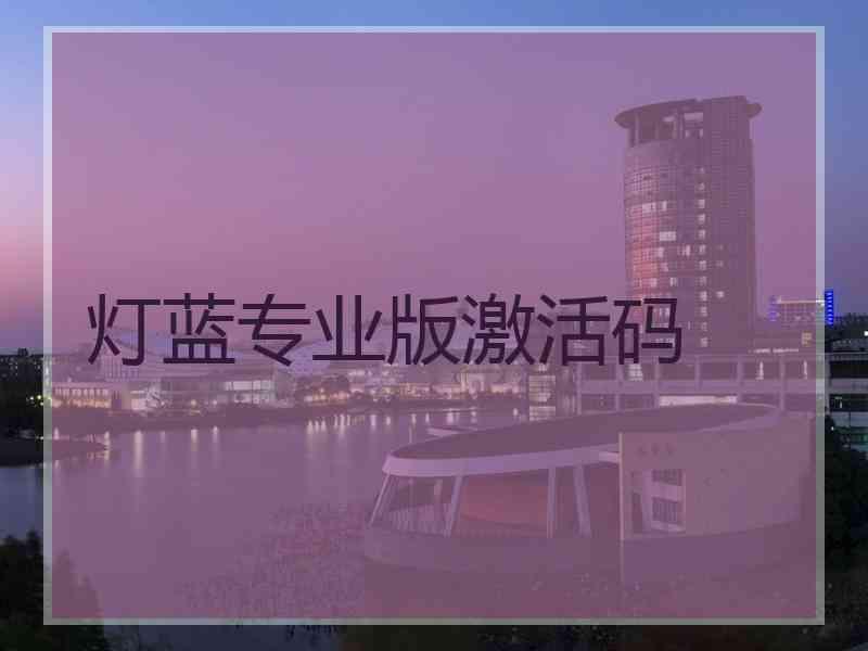 灯蓝专业版激活码