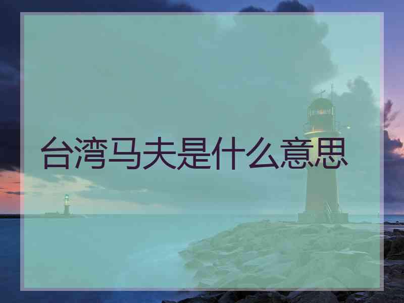 台湾马夫是什么意思
