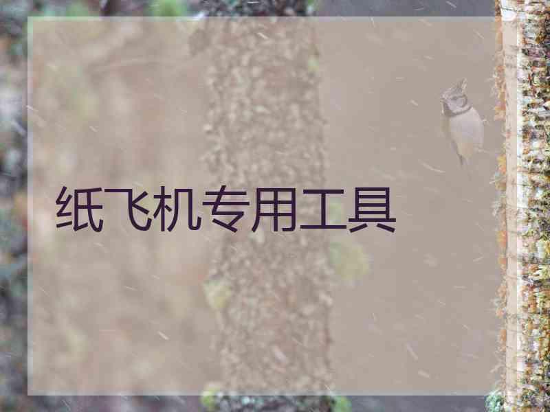 纸飞机专用工具