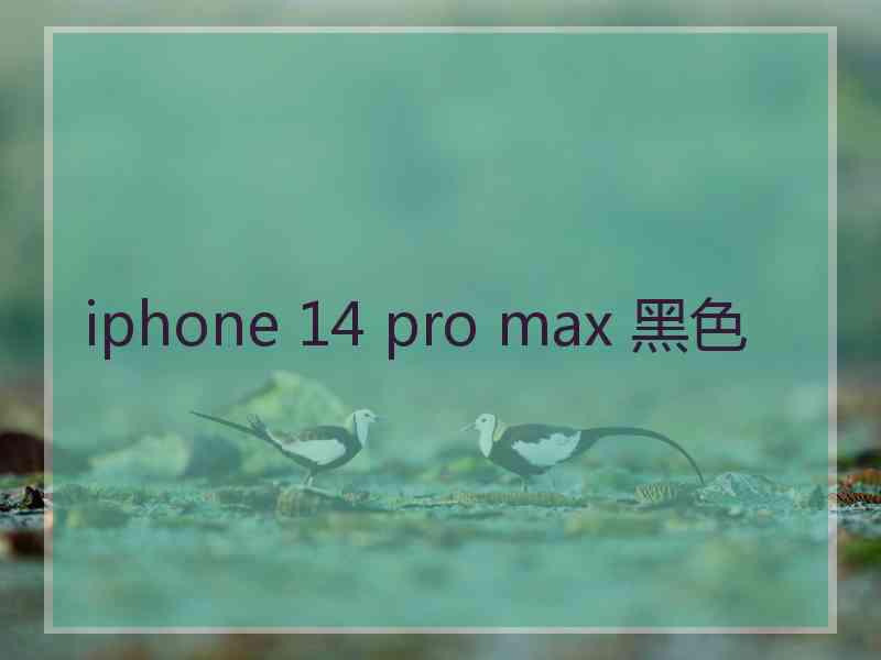 iphone 14 pro max 黑色