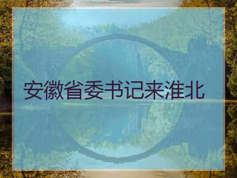 安徽省委书记来淮北