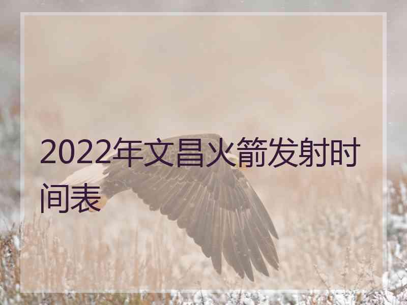 2022年文昌火箭发射时间表